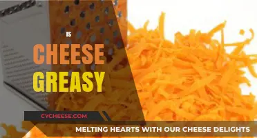 Is Cheese Greasy? Unraveling the Truth About Cheese Texture