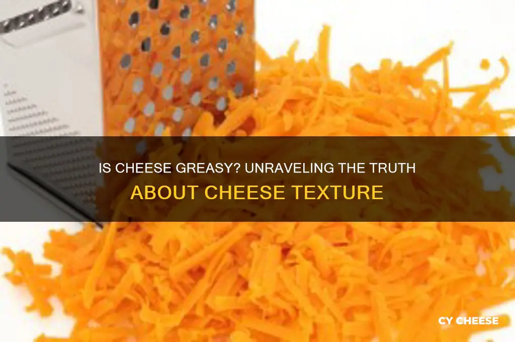 is cheese greasy
