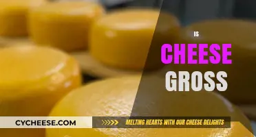 Is Cheese Gross? Debunking Myths About This Beloved Dairy Delight