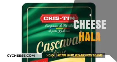 Is Cheese Halal? Exploring Dairy's Place in Islamic Dietary Laws