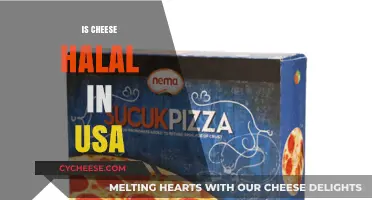 Is Cheese Halal in the USA? Exploring Ingredients and Certification