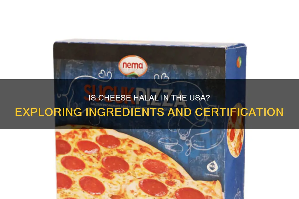 is cheese halal in usa