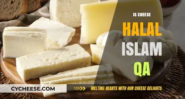 Is Cheese Halal? Exploring Islamic Dietary Laws and Dairy Products