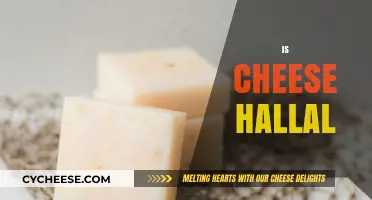 Is Cheese Halal? Understanding Ingredients, Production, and Religious Guidelines
