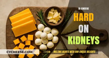 Is Cheese Hard on Kidneys? Uncovering the Truth for Kidney Health