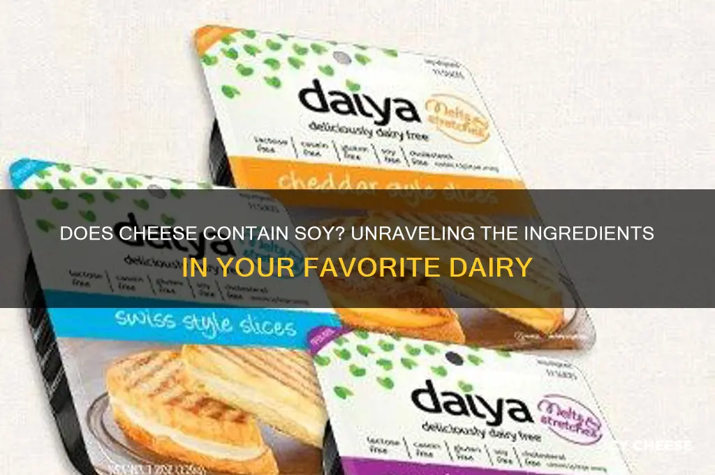 is cheese has soy