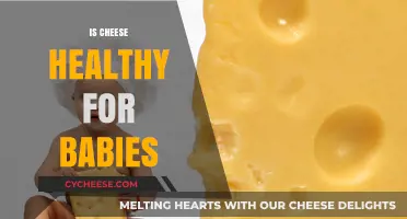 Cheese for Babies: Is It Healthy?