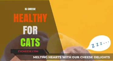 Cheese and Cats: A Healthy Mix?