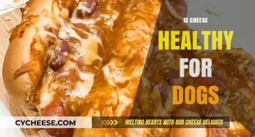Cheese for Dogs: Healthy or Harmful?