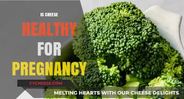 Cheese and Pregnancy: What's the Verdict?