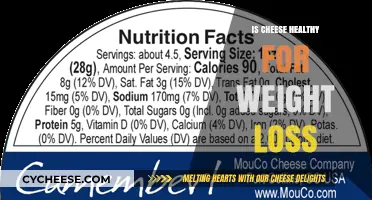 Cheese and Weight Loss: Healthy or Not?