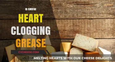 Is Cheese Heart-Clogging Grease? Separating Fact from Fiction