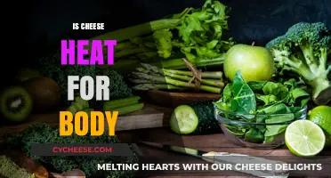 Is Cheese Heating Your Body? Unraveling the Truth About Dairy's Impact