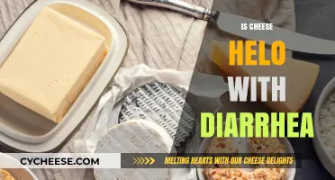 Can Cheese Help with Diarrhea? Surprising Facts and Tips