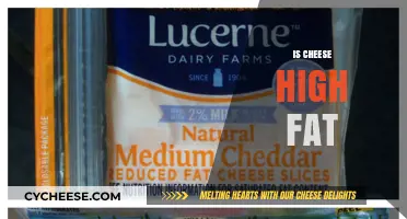 Is Cheese High in Fat? Uncovering the Truth About Cheese Nutrition