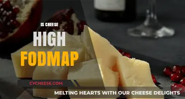 Is Cheese High FODMAP? Understanding Dairy and Gut Health