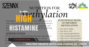 Is Cheese High Histamine? Uncovering the Truth for Sensitive Diets