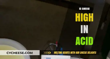 Is Cheese Acidic? Uncovering the Truth About Cheese and Acidity