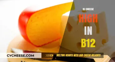 Is Cheese a Good Source of Vitamin B12? Find Out Here