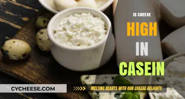 Is Cheese High in Casein? Uncovering the Truth About Dairy