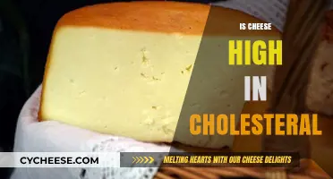 Is Cheese High in Cholesterol? Uncovering the Truth About Dairy
