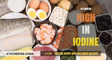 Is Cheese High in Iodine? Uncovering the Truth About Dairy