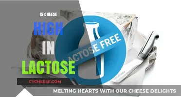 Is Cheese High in Lactose? Uncovering the Truth for Dairy Lovers