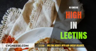 Is Cheese High in Lectins? Uncovering the Truth About Dairy