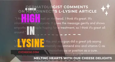 Is Cheese High in Lysine? Uncovering the Nutritional Facts