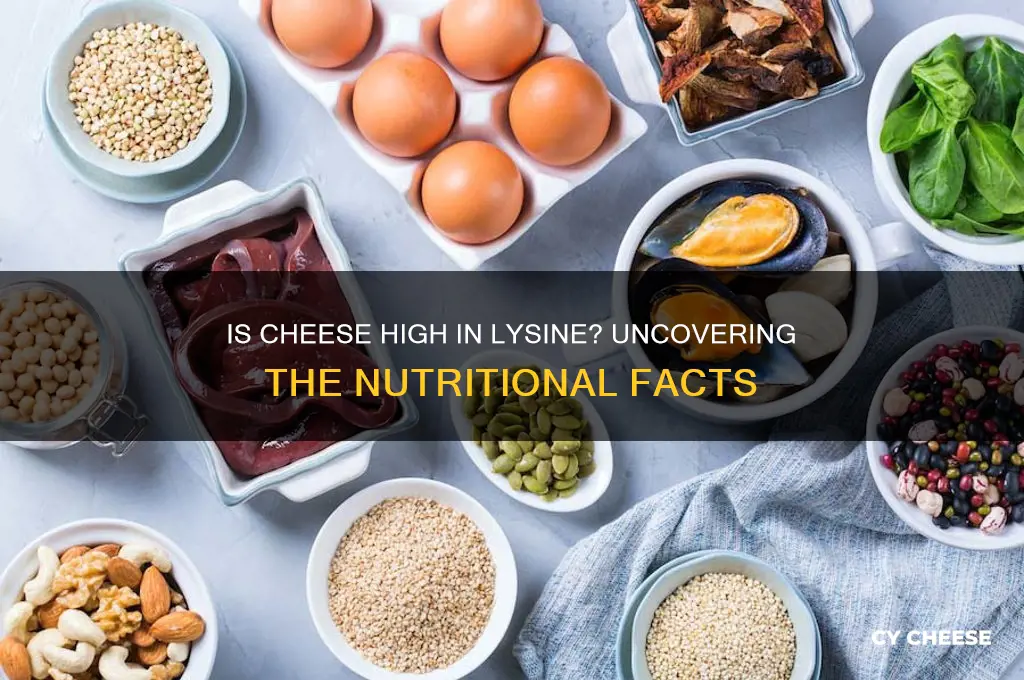 is cheese high in lysine