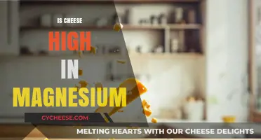 Is Cheese a Good Magnesium Source? Uncovering Nutritional Facts