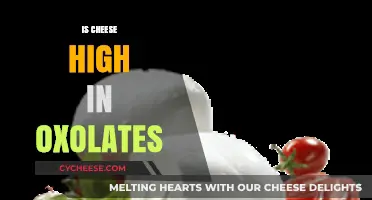 Is Cheese High in Oxalates? Uncovering the Facts for Kidney Health