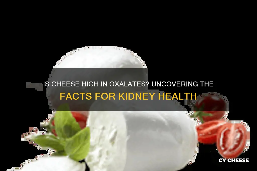 is cheese high in oxolates