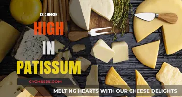 Is Cheese High in Potassium? Uncovering the Truth for Your Diet