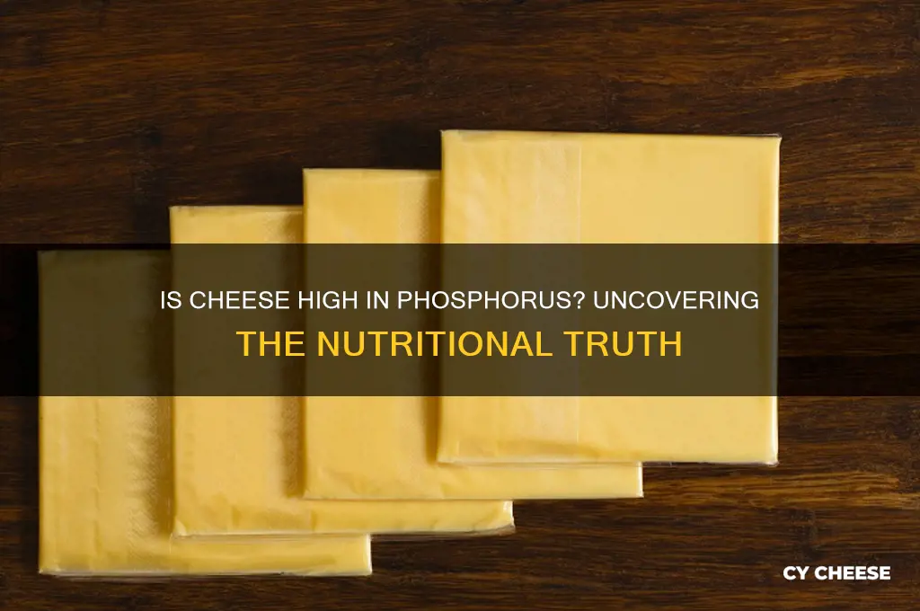 is cheese high in phosphorus