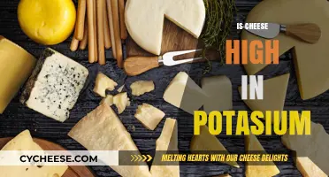 Is Cheese High in Potassium? Uncovering the Nutritional Truth