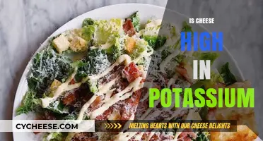 Is Cheese High in Potassium? Uncovering the Truth for Your Diet