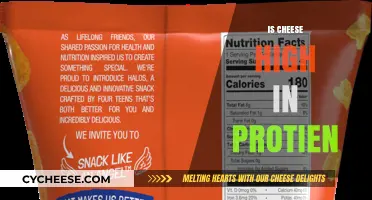 Is Cheese a High-Protein Food? Uncovering Nutritional Facts