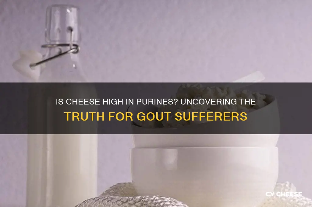 is cheese high in purines