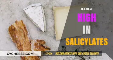 Is Cheese High in Salicylates? Uncovering the Truth for Your Diet