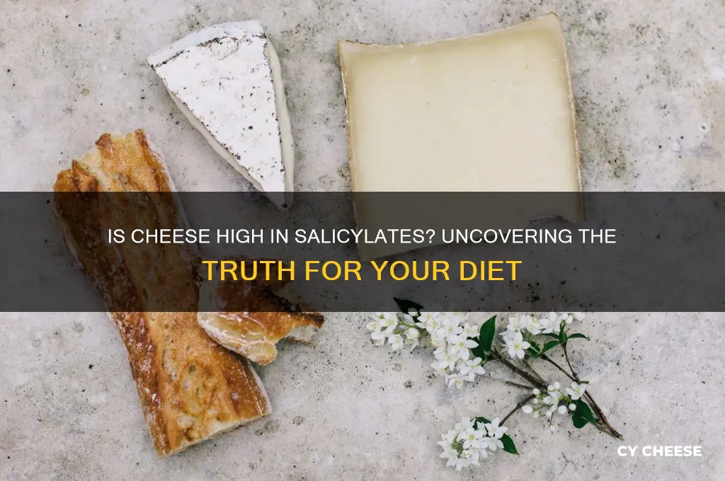 is cheese high in salicylates