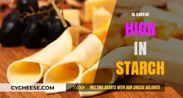 Is Cheese High in Starch? Unraveling the Nutritional Facts