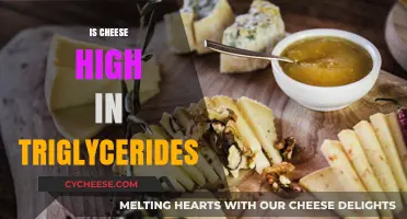 Cheese and Triglycerides: Uncovering the Truth About Its Impact