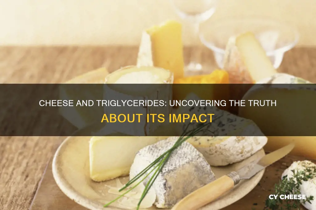 is cheese high in triglycerides
