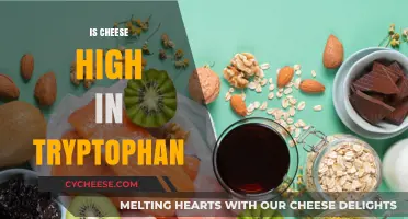 Is Cheese a Tryptophan Source? Uncovering Its Role in Mood and Sleep