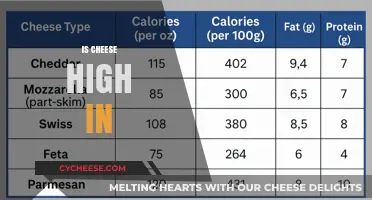 Is Cheese High in Calories, Fat, or Protein? Let's Find Out