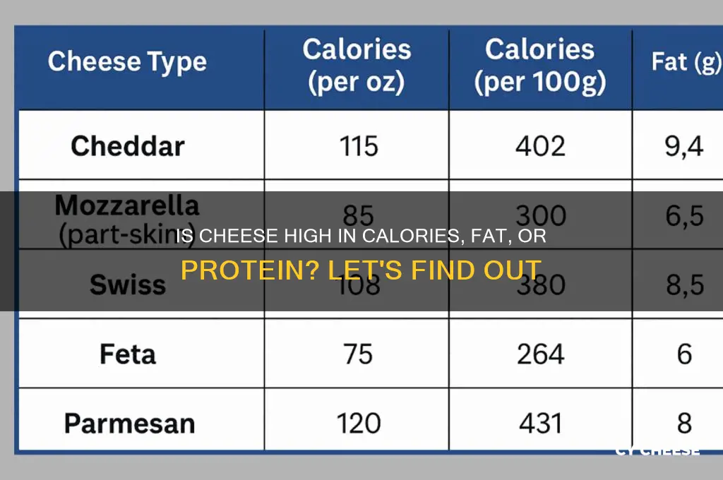 is cheese high in
