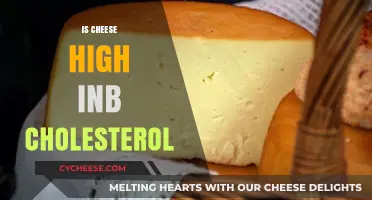 Is Cheese High in Cholesterol? Uncovering the Truth About Dairy