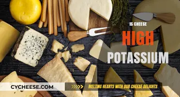 Is Cheese High in Potassium? Uncovering the Truth for Your Diet