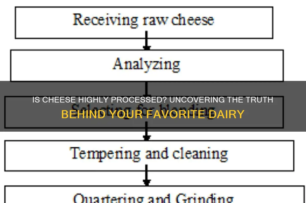 is cheese highly processed food